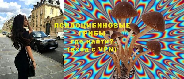 шишки Переславль-Залесский