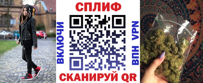купить наркоту  Гдов  Каннабис индика 